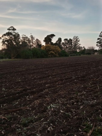 Foto Campo en Alquiler en Mar Del Plata, Buenos Aires - pix34999366 - BienesOnLine